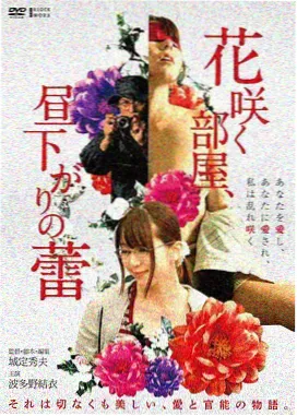 老井回声 修复版海报